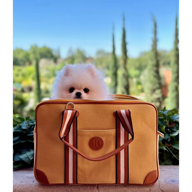 Polo & Luna Madeline Pet Carrier