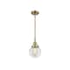 Option Antique Brass / Clear