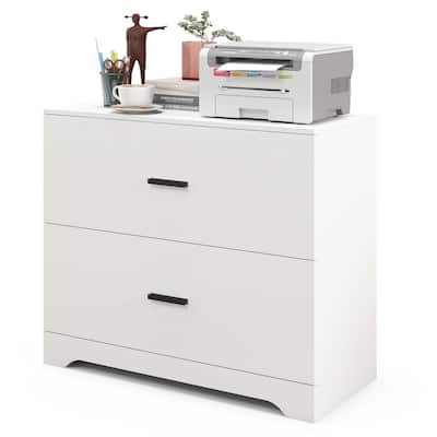2 Drawer Lateral File Cabinet Printer Stand with Adjustable Bars