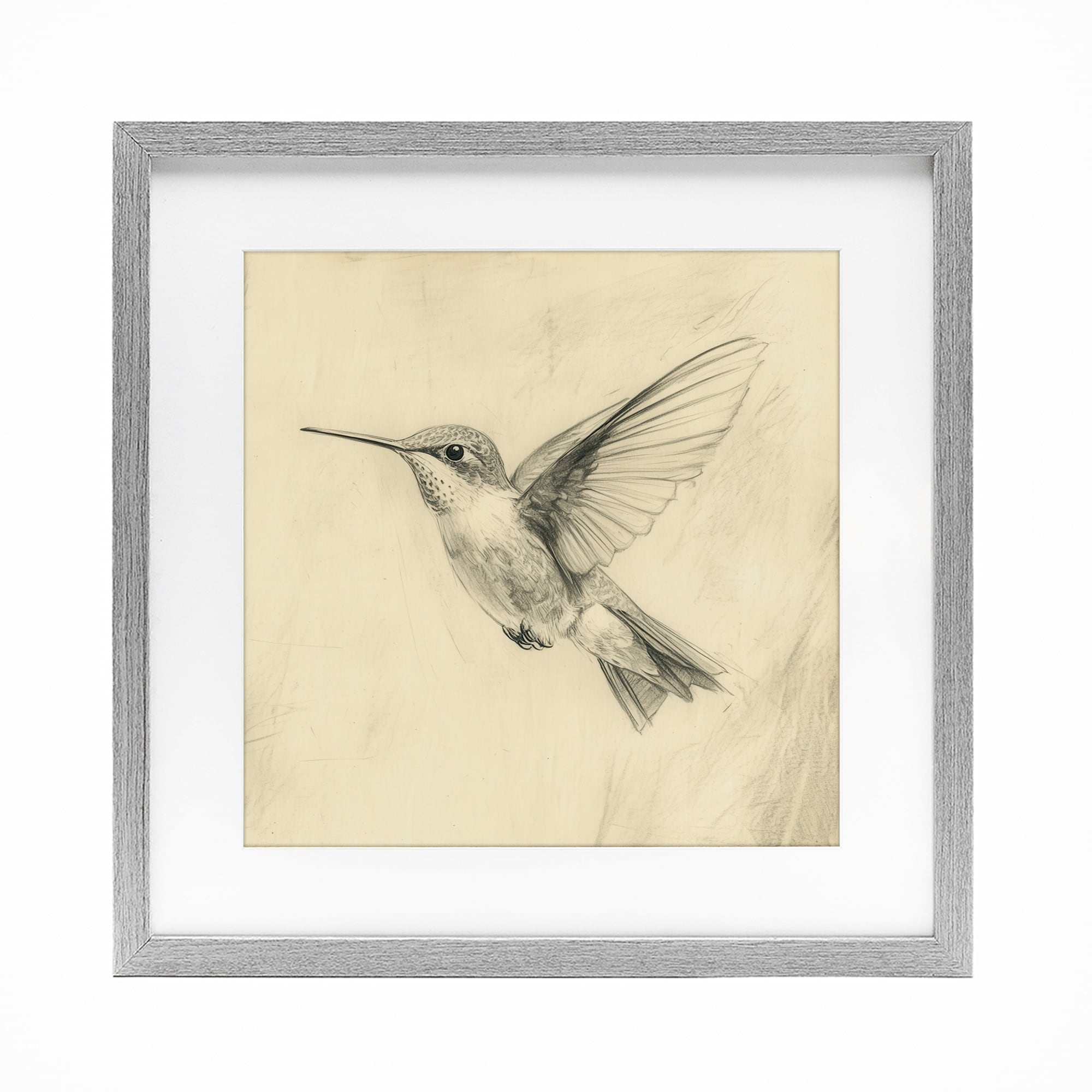 Stupell Vintage Hummingbird Sketch Under Glass Framed Design By Petal Prints Design