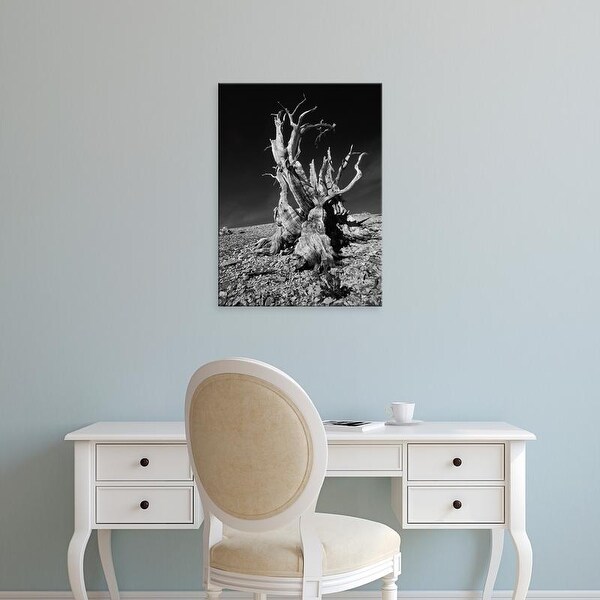 Easy Art Prints Jerry Ginsberg's 'White Mountains In Inyo National Forest' Premium Canvas Art