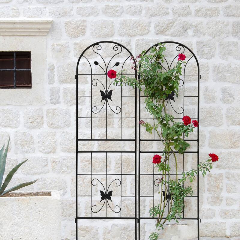 2 Pack Metal Garden Trellis Rustproof Trellis for Climbing Plants Outdoor Flower Support Dragonfly Deco Black - Dack Black