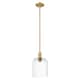 Option Brushed Brass / Clear Shade