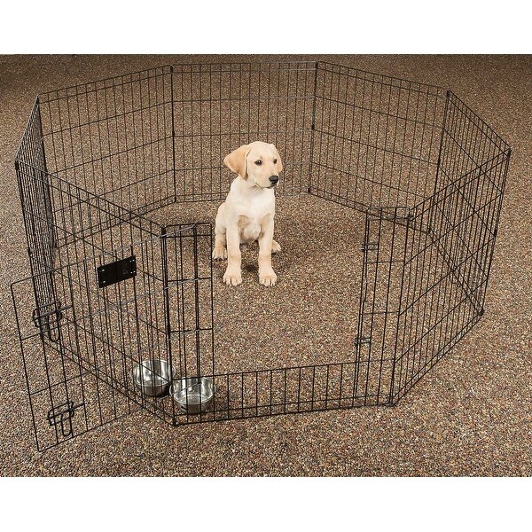 dog exercise cage