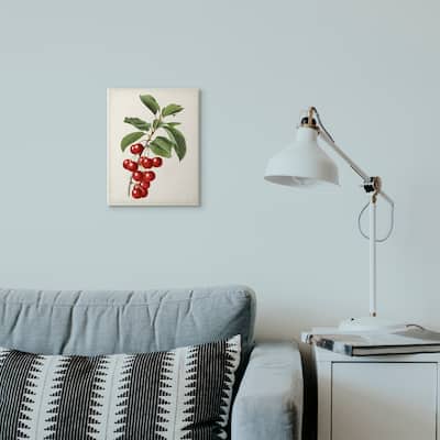 Stupell Vintage Fruit Cherry Painting,10x15, Proudly Made in USA
