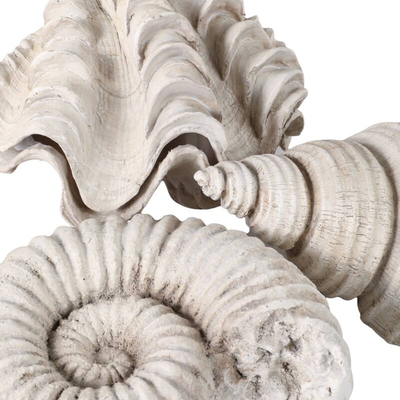 Polyresin Sculpture Coastal Shell Design (Set of 3) - 5/3" Ivory - 6.25" x 4.5" x 4.75"