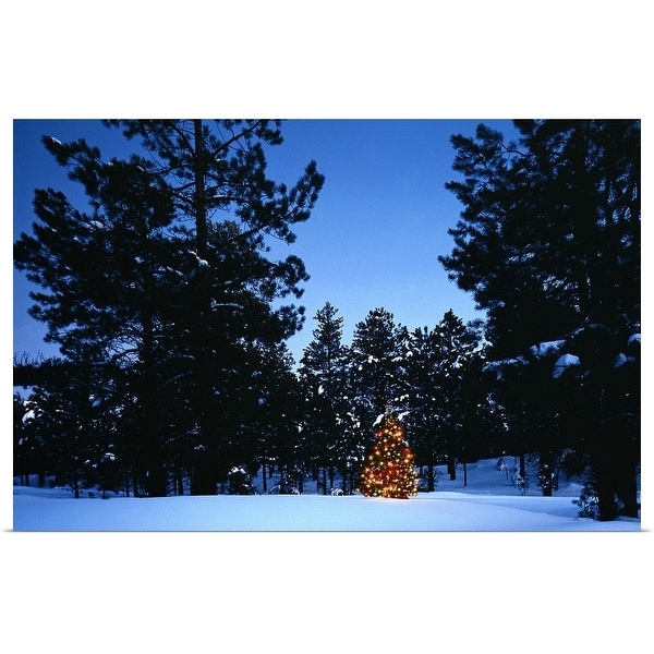 "Christmas tree in pine forest" Poster Print