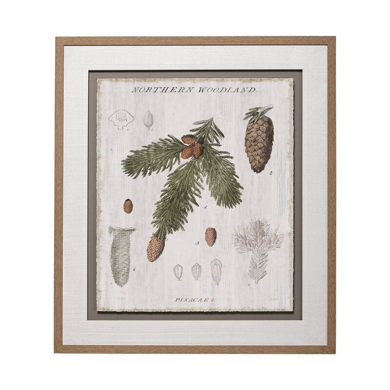Woodland Chart V Framed Art Print