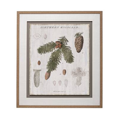 Woodland Chart V Framed Art Print
