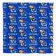 preview thumbnail 59 of 58, NCAA Rotary 7-piece Queen Bed in a Bag Set