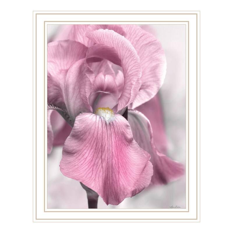 TrendyDecor4U "Pink Iris" Framed Print Wall Art - White