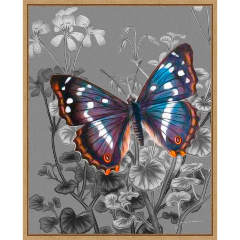 On Display No. 6 by James Burghardt (23 x 28 in.), Framed Canvas Wall Art Print