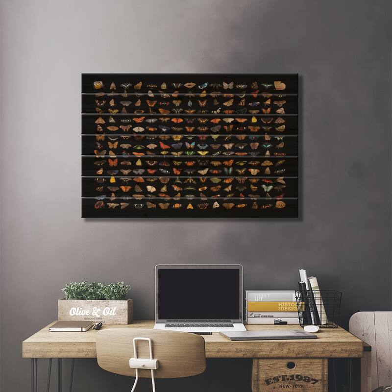 A Composite Of 225 Butterfly And Moth Species Print On Wood by Joel Sartore - Multi-Color