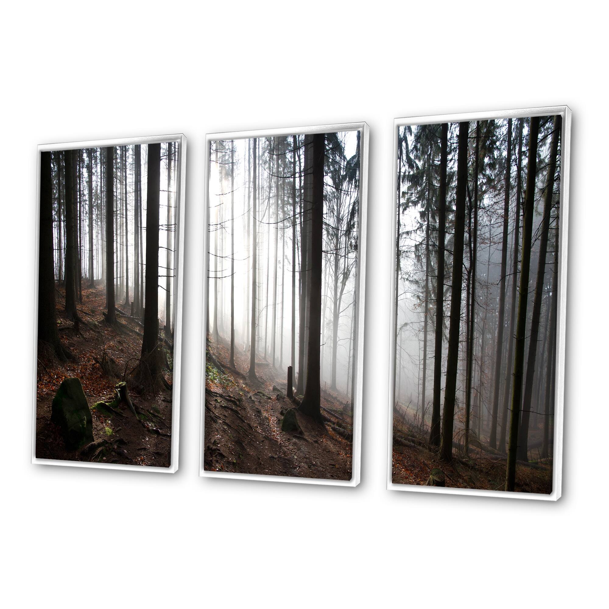Designart "Misty Forest Morning Panorama" Landscape Framed Art Prints Set of 3 4 Colors of