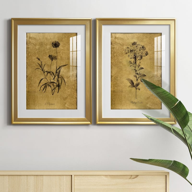Gold Sketch Botanical I Premium Framed Print - Ready to Hang