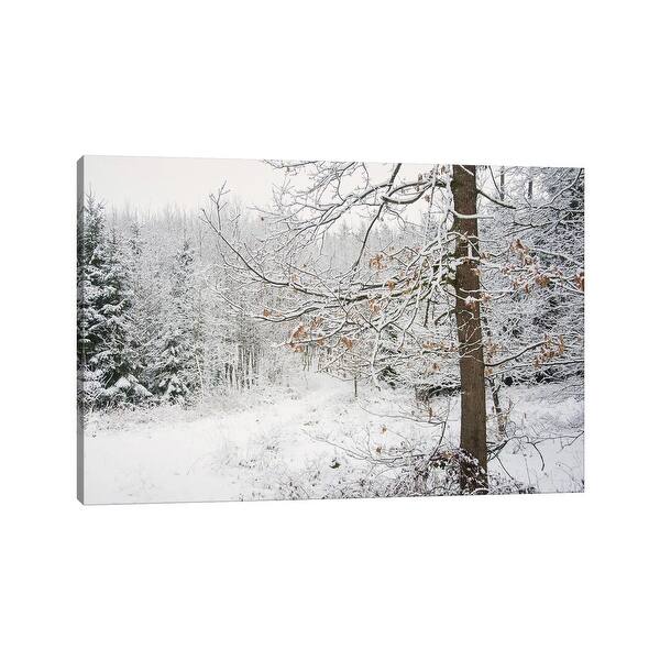slide 2 of 6, iCanvas "Winter Wood" by Lena Weisbek Canvas Print