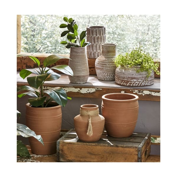 dracaena kristi Dracaena Kristi | Care Guide and Pro Tips - Delivery from Toronto across  Canada main image 1
