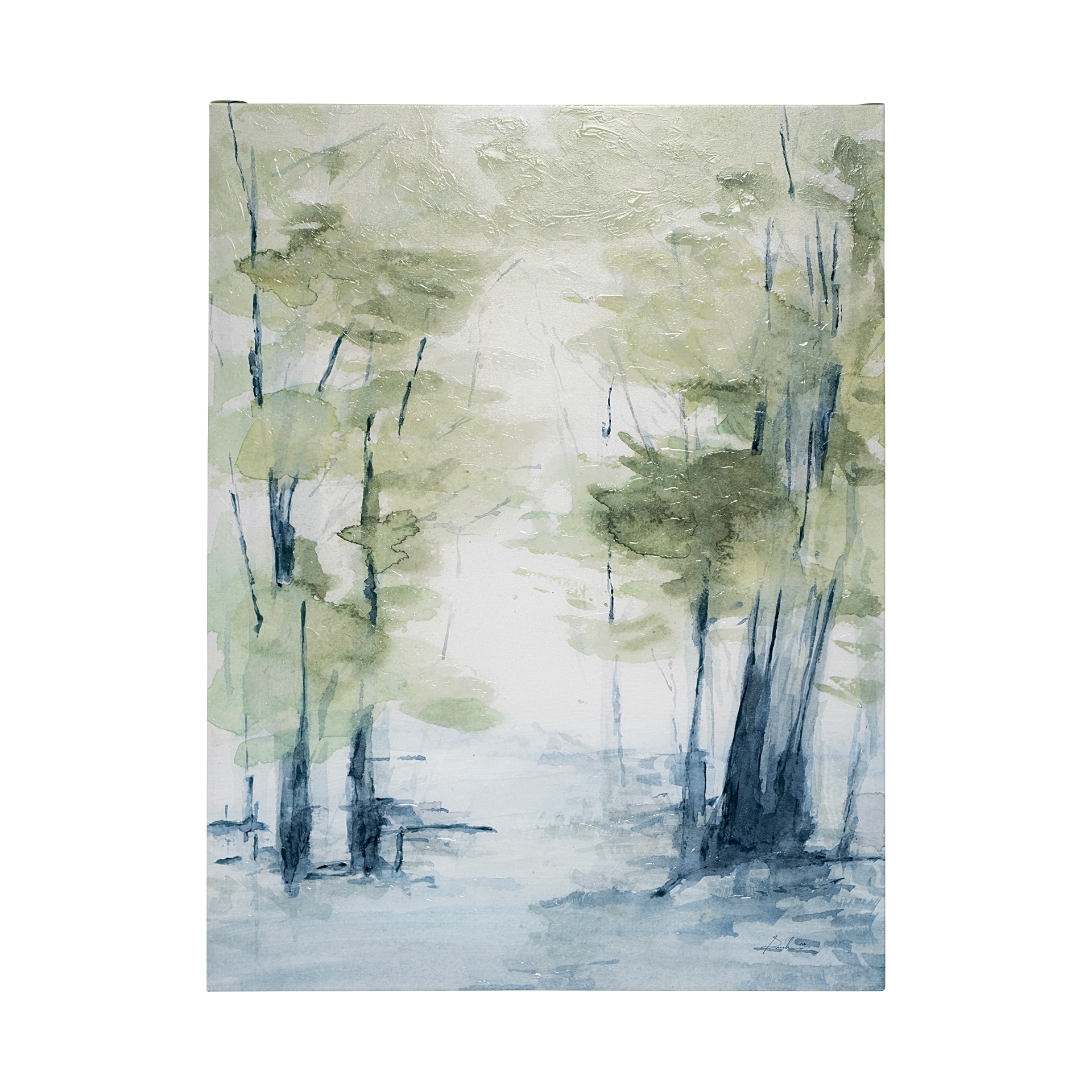 Forest Dew I (36 x 48) Canvas Art Print