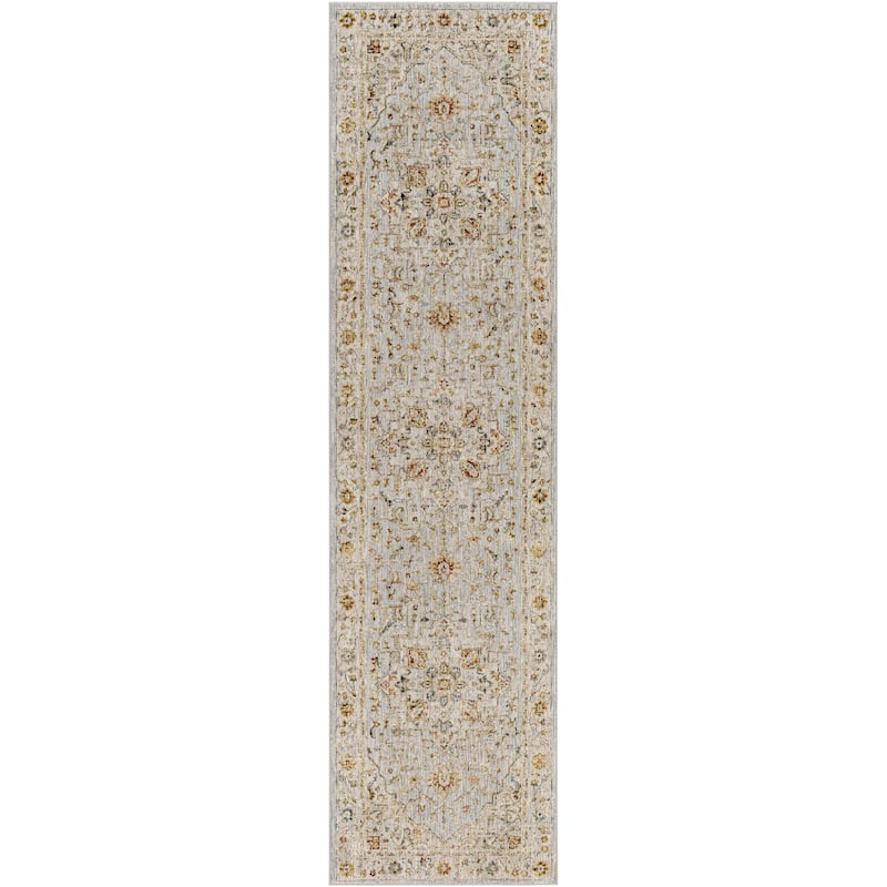Tereza Updated Traditional Medallion Area Rug