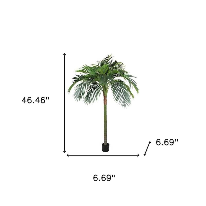 HomeRoots 71" Green Artificial Palm Tree in a Black Pot - 6.69 in. x 70.87 in. x 6.69 in.