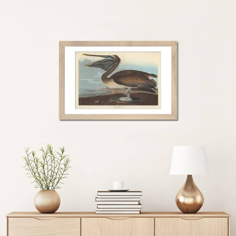 iCanvas "Brown Pelican" by John James Audubon