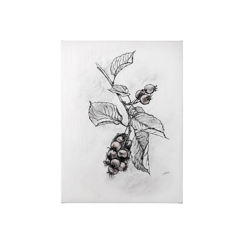Wildberry Collection Saskatoonberry (27 x 36) Canvas Art Print - Small