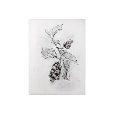 Wildberry Collection Saskatoonberry (27 x 36) Canvas Art Print