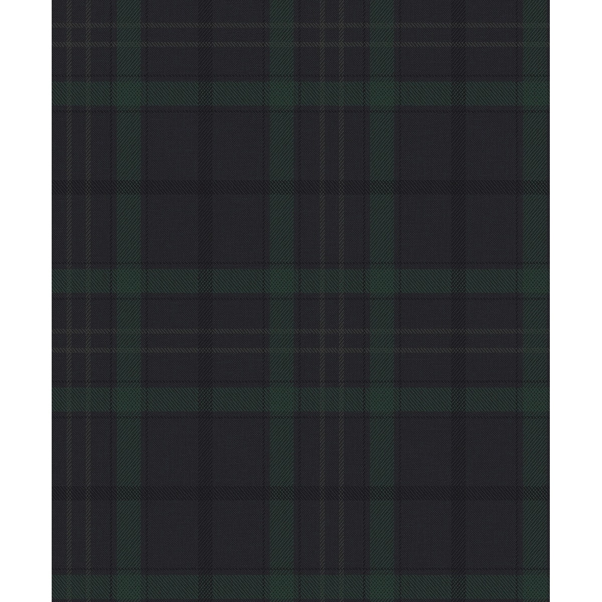 Option Dark Blue & Evergreen