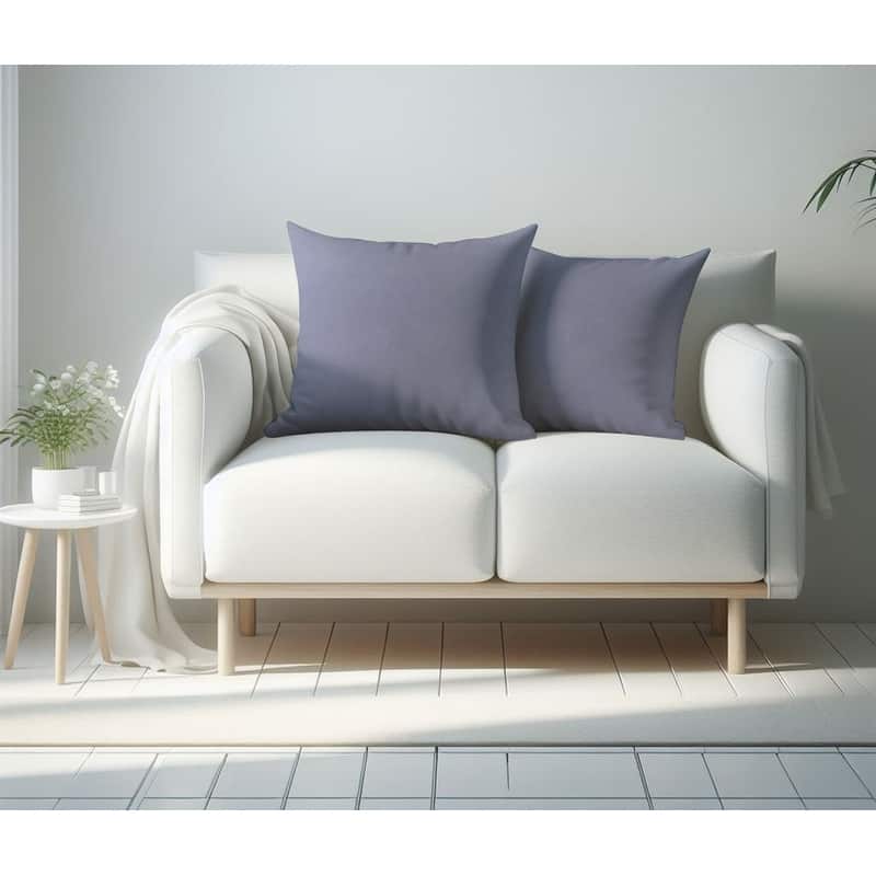 A1HC Pack of 2 Velvet Throw Pillow Covers, Hidden Zipper Closure