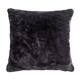 Option Black