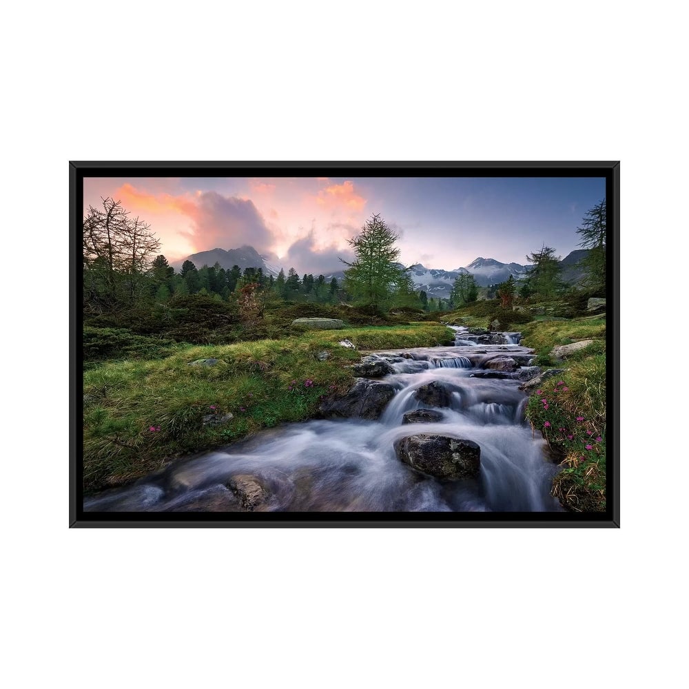"Wild Paradise" by Stefan Hefele Framed