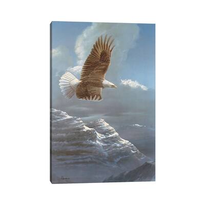 iCanvas "Spacious Skies Bald Eagle" by Anderson Art Canvas Print