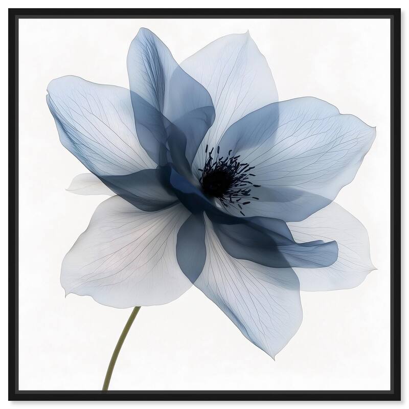 Morning Petalia I Canvas by Art Remedy - Black - 24" x 24"