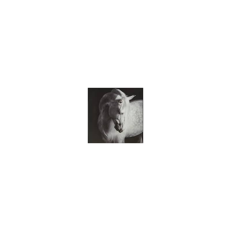 Signature Design by Ashley Archerwick Black/White Wall Art