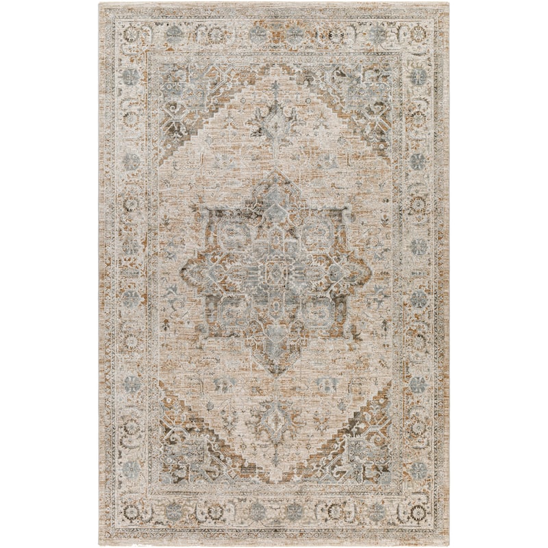 Artistic Weavers Remyr Vintage Distressed Area Rug