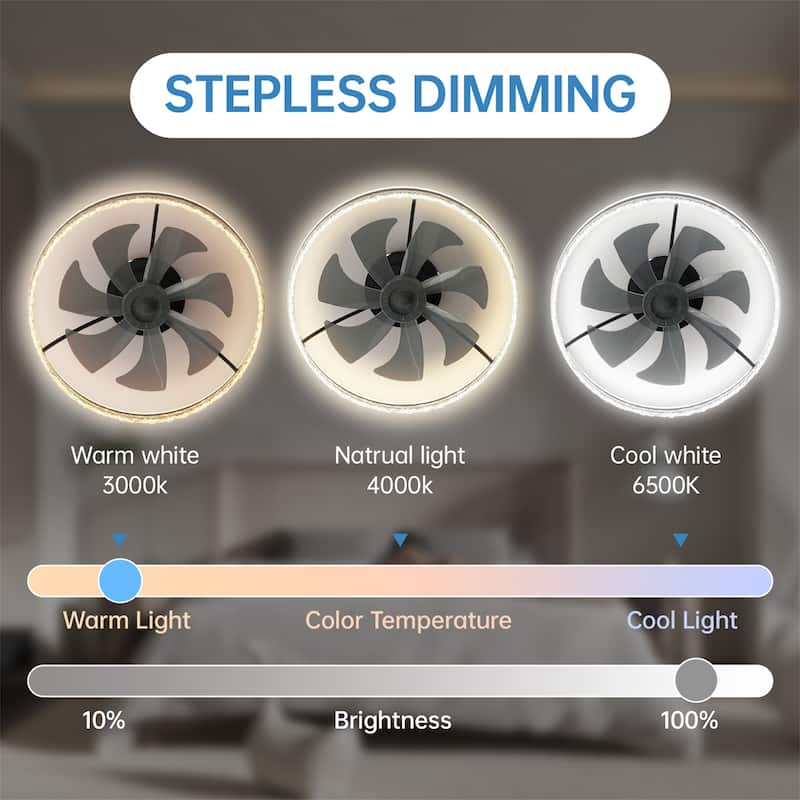24" Modern LED Ceiling Fan with Light