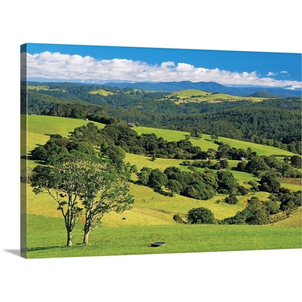 "Pastoral scene near Dorrigo, New South Wales, Australia" Canvas Wall Art