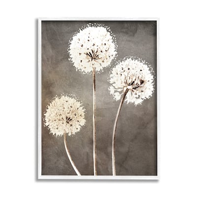 Stupell Fluffy Dandelion Plants Wildflower Botanical Blooms Framed Wall Art, Design by Kim Allen - Brown