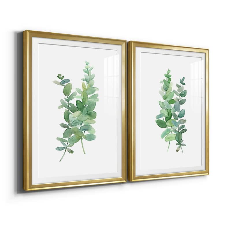 Eucalyptus I Premium Framed Print - Ready to Hang