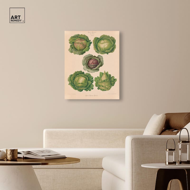 Cabbages by Benary 1876 Canvas by Art Remedy, Gallery Wrapped