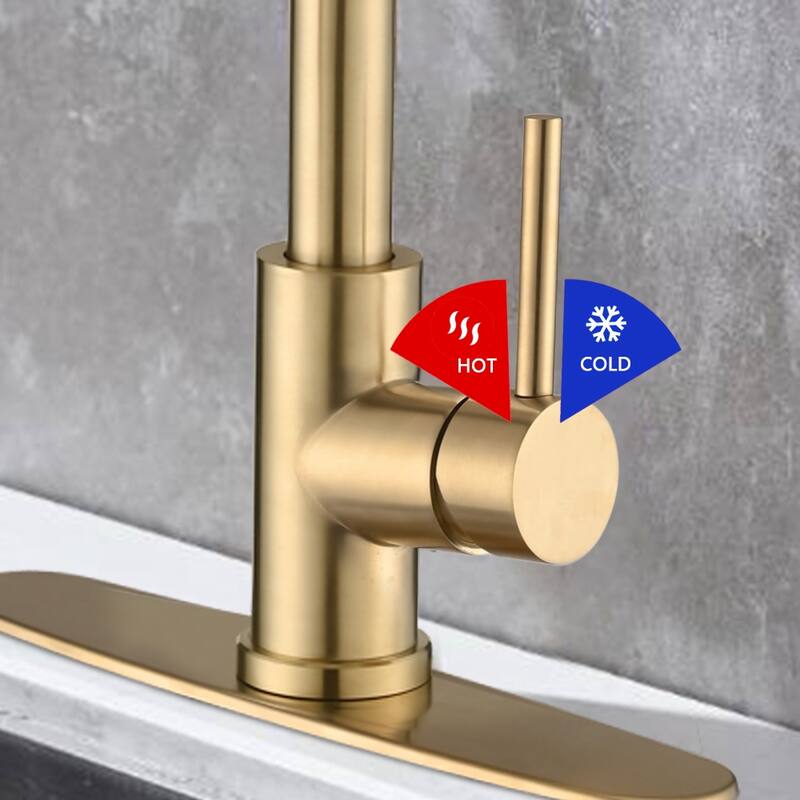 PROOX Single Handle Kitchen Sink Faucet with Pull Out Sprayer