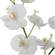 preview thumbnail 3 of 3, Uttermost 60201 Glory 13" Tall Glass and Stone Faux Flora Planter