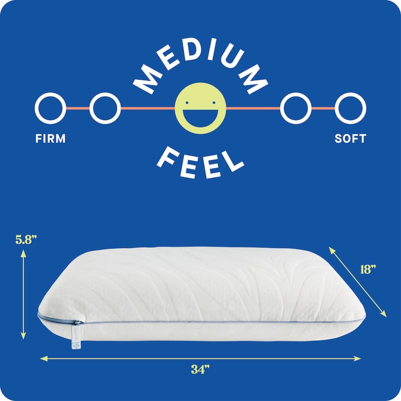 Sealy Dreamlife Memory Foam Pillow, King