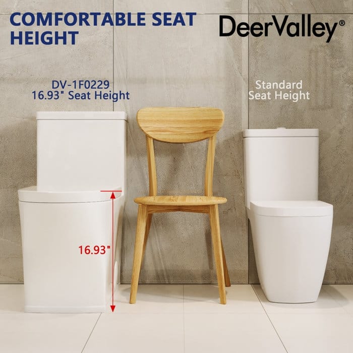 DeerValley One Piece Toilet For Bathroom, Dual Flush Modern Toilet, 12'' Rough-In Toilet with Comfort Seat Height - N/A