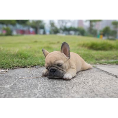 Sleeping Pug Puppy Statue