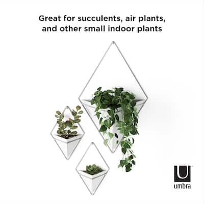 Umbra TRIGG SMALL Wall Vessel (Set of 2)