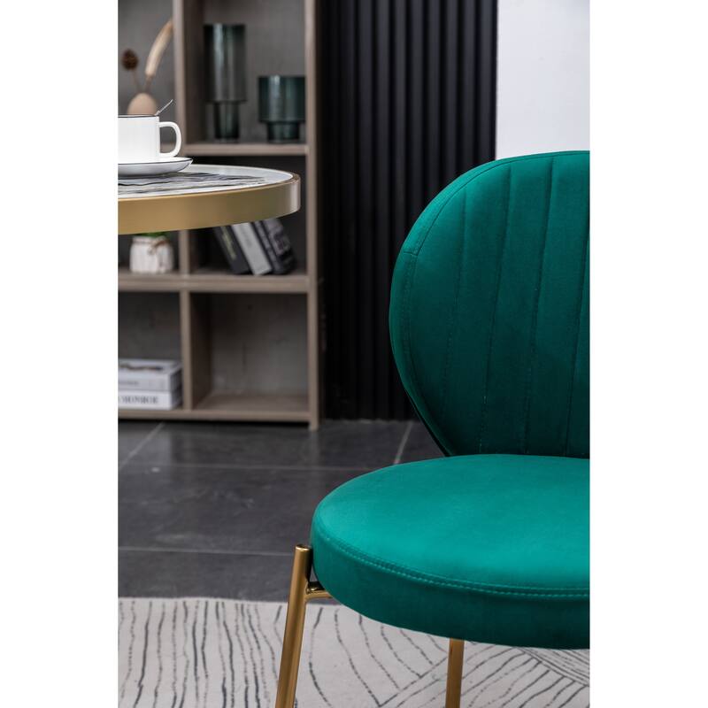 Roundhill Furniture Amoa Contemporary Velvet Upholstery Dining Chair