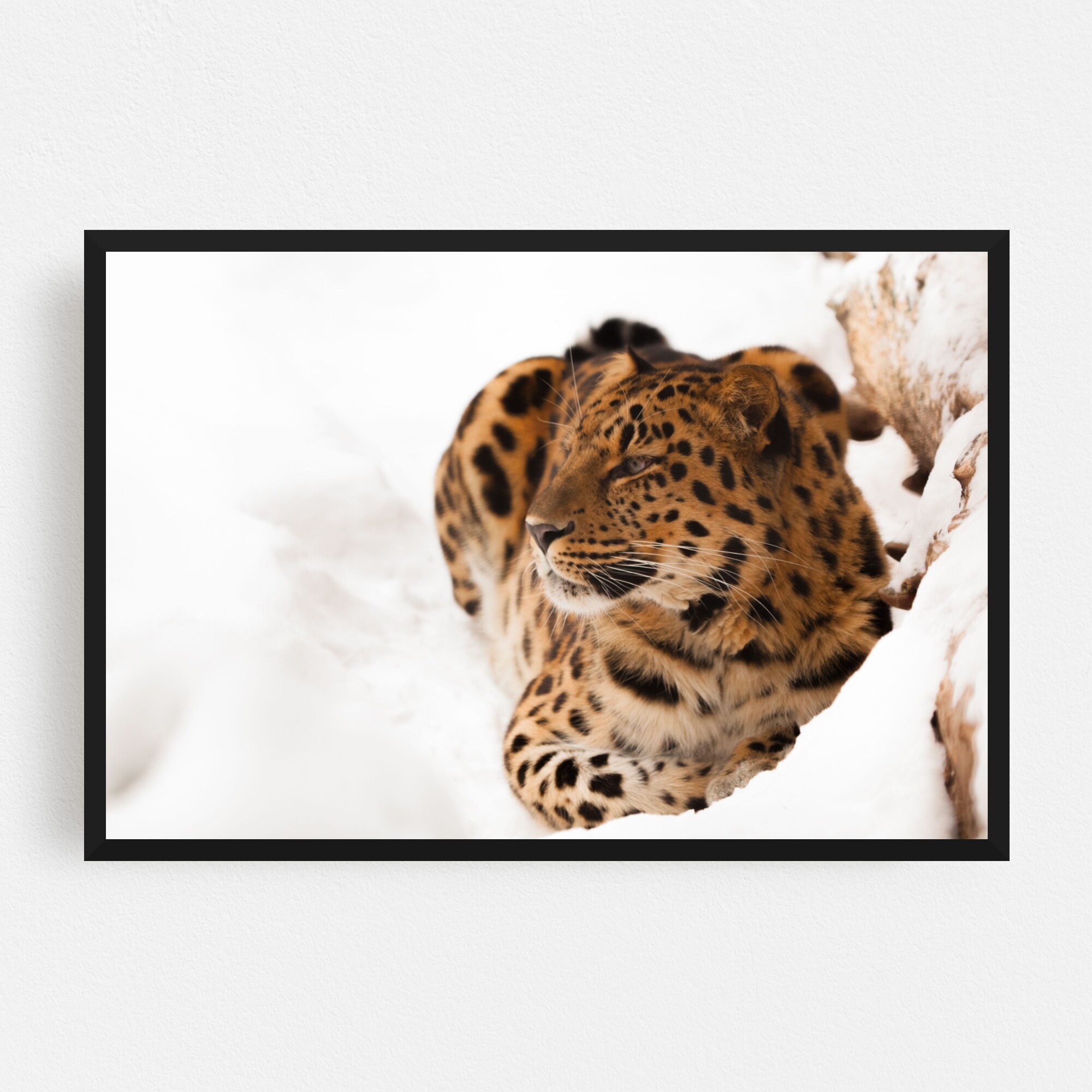 Shop Animals Cat Forest Jaguar Leopard Framed Wall Art Print Overstock 31659236