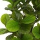 preview thumbnail 7 of 7, Christopher Knight Home - Elegant 51" Artificial Fiddle Leaf Fig Tree with Pot, Perfect for Home Interiors - Wood