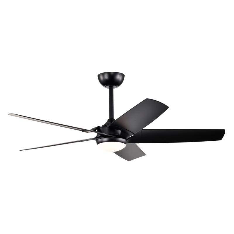 Angus 5-Blade Lighted Ceiling Fan with LED Lamp with Remote - Black